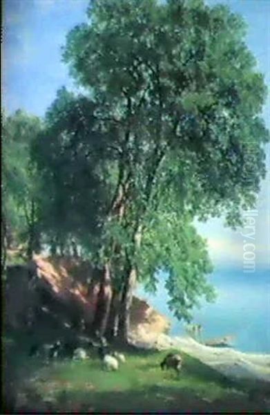 Ziegenherde Am Genfersee - view 1