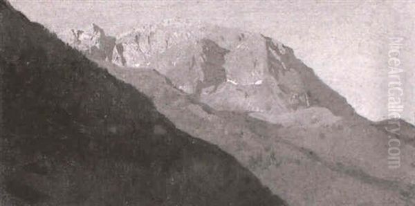 Sommerliche Berglandschaft - view 1