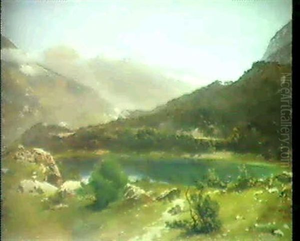 Bergsee - view 1