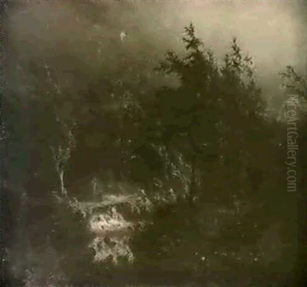 Sturmwolken Uber Waldlandschaft - view 1