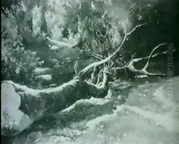 Arbre Couche - view 1