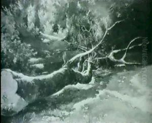 Arbre Couche by Alexandre Calame