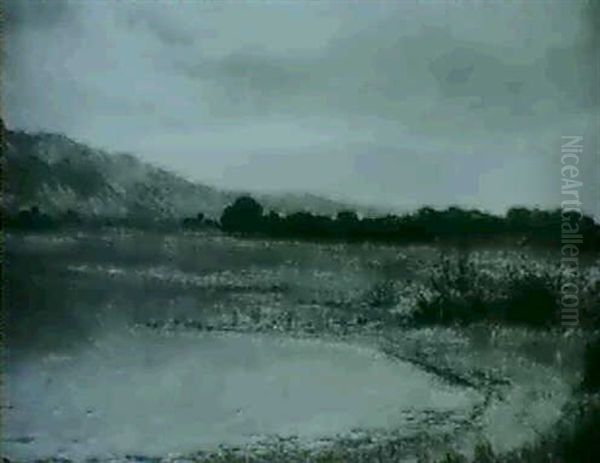 Bords Du Lac De Thoune - view 1