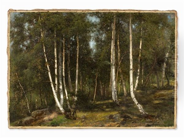 Birch Forest - view 1