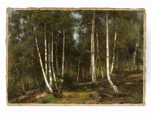 Birch Forest