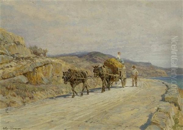 Heuwagen In Einer Mediterranen Landschaft - view 1