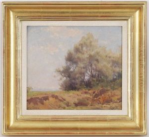 Paysage De Campagne Avec Percee Sur Le Lac