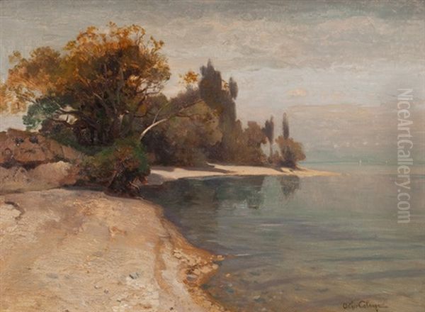 An Den Ufern Des Lac Leman - view 1