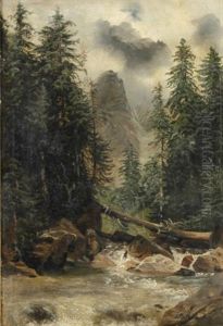Rauschender Gebirgsbach Mit Umgesturztem Baum