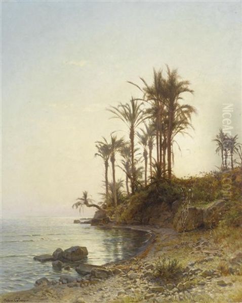 Kustenlandschaft Mit Palmen - view 1