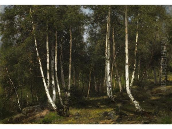 Birkenwald - view 1