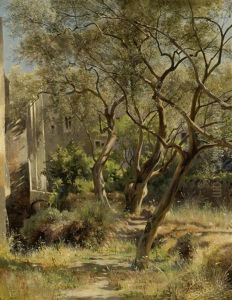 Olivenbaume