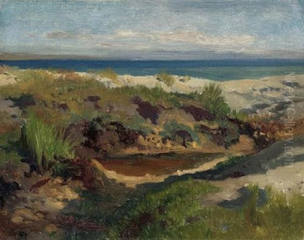 Dunenlandschaft - view 1