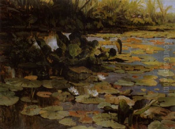 La Mare Aux Nympheas - view 1