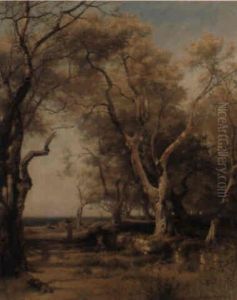 Oliviers De Menton by Arthur Calame