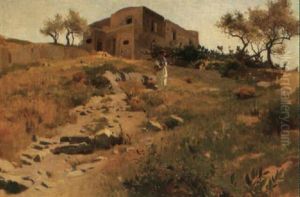 Sudliche Landschaft Mit Oliven