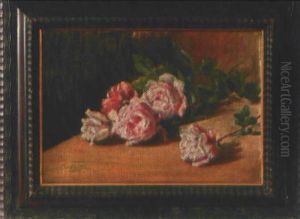 Rosa Rosen by Cesare Calchi Novati