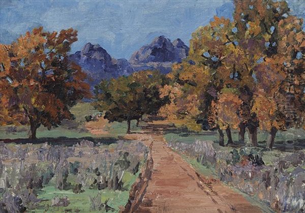 Landscape Near Uitkyk - view 1