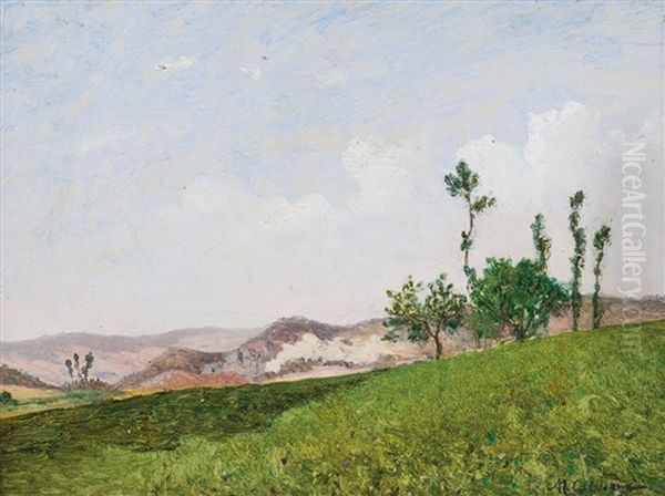 Paesaggio Estivo - view 1