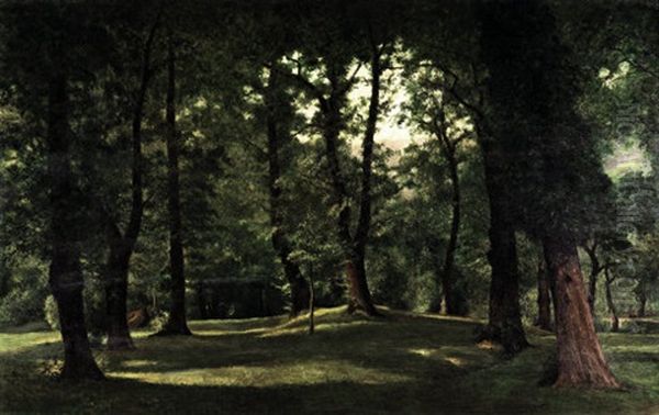Sottobosco - view 1