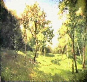 L'orto Botanico A Torino by Marco Calderini