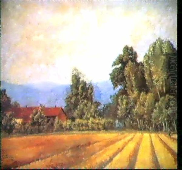 Campi Di Grano - view 1