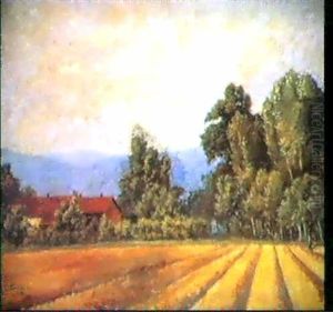 Campi Di Grano
