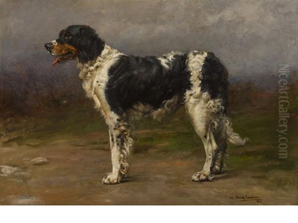 Portrait Of A Gun Dog - view 1