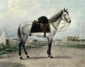 Portrait Of An Officer's Grey Charger, Almost Certainly Of The 10th (duke Of Cambridge's Own) (bengal) Lancers, Malta by Giuseppe Cali