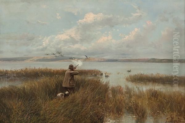 Sacramento Marshes, Duck Hunter - view 1