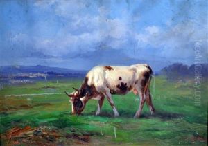 Mucca by John (Giovanni) Califano