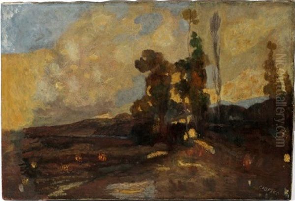 Landscape - view 1