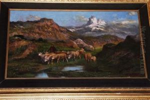 Paesaggio Montano