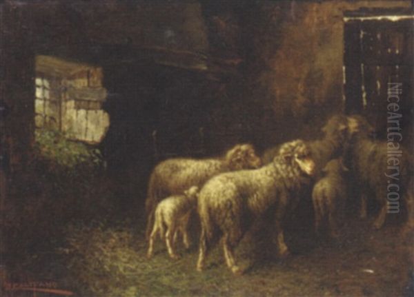 Sheep In A Barn - view 1