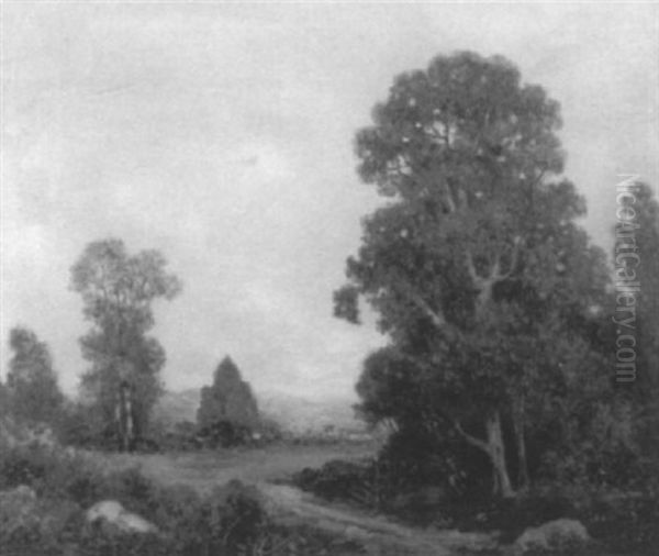 Country Landscape - view 1