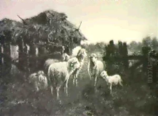 Sheep Outside Barn - view 1
