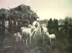 Sheep Outside Barn Sheep Outside Barn