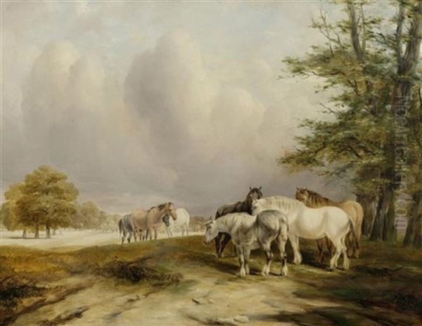 Pferdeherde In Einer Landschaft - view 1