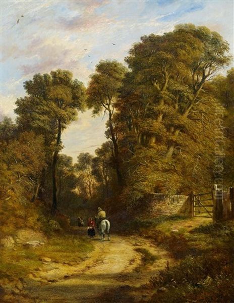 Begegnung Auf Dem Waldweg - view 1
