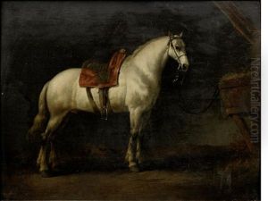 A Grey Standing In A Stable A Grey Standing In A Stable