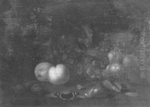A Still Life Of Fruit And Shells Arranged On A Ledge by Abraham Van Calraet