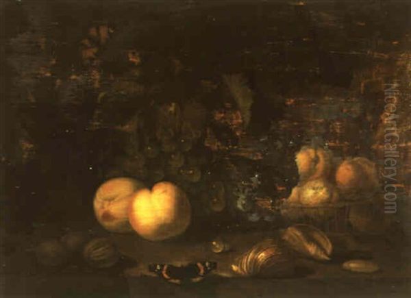 Still Life With Fruit And Shells Arranged On A Ledge - view 1