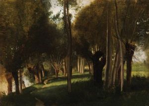 Sous-bois