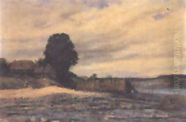 Landschaft Mit Sumpfigem Seeufer - view 1