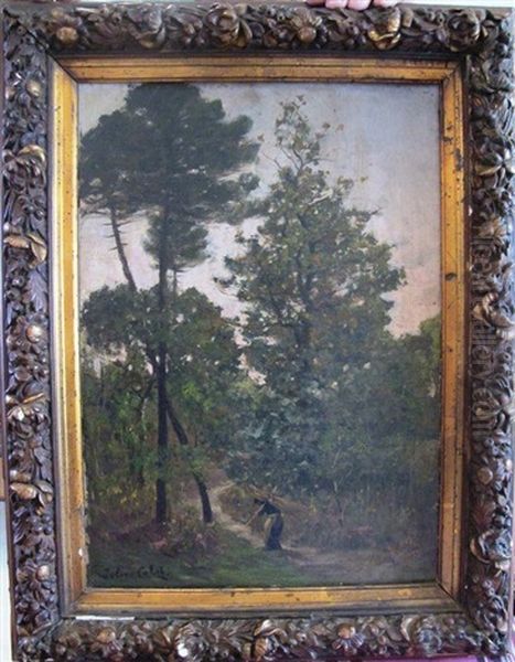 Le Ramassage Du Bois Dans La Foret Landaise - view 1