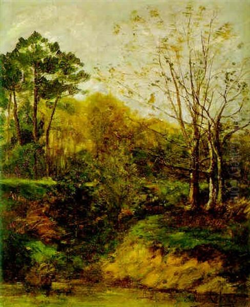 Bosque - view 1