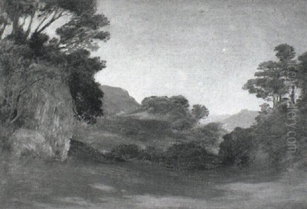 Road Through Wooded Landscape - view 1