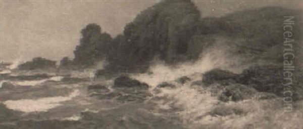 On The East Coast Near Coldingham - view 1