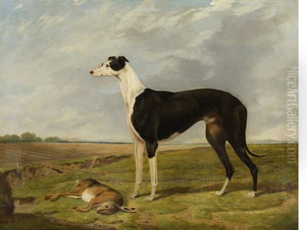 Brigadier, Winner Of The Waterloo Cup - view 1