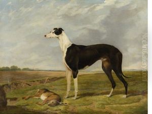 Brigadier, Winner Of The Waterloo Cup